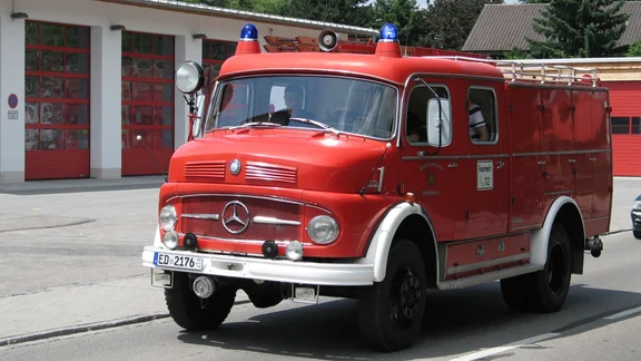 LF16_1.jpg